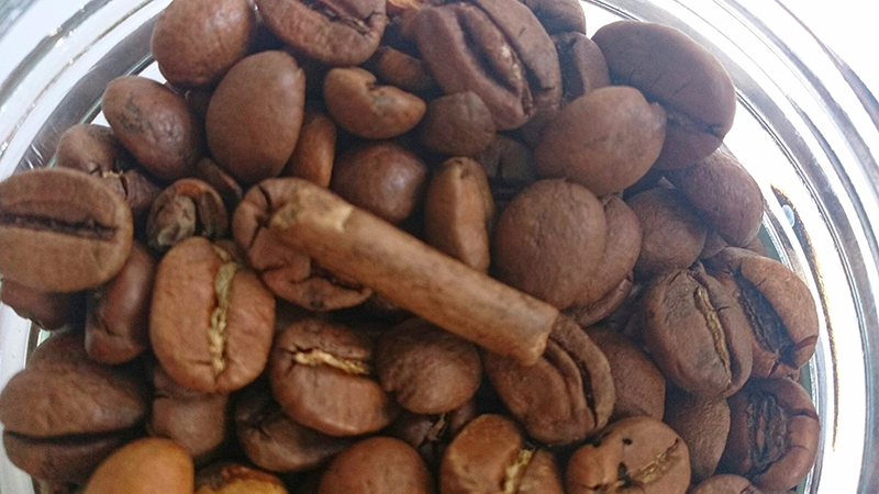 コーヒー豆に枝